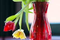 <p>Sollte man sein Geld tatsächlich in einer Vase aufbewahren, passt man besser auf, wenn man die Blumen darin gießt – ansonsten könnte das Vermögen schnell baden gehen. </p>