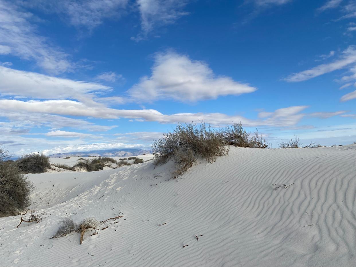 Glistening under blue skies, snow-white dunes stretch across White Sands National Park. Prevailing southwest winds move the dunes in waves, some shifting at a rate of 20 feet per year. The dune field, located near Alamogordo, New Mexico, spans a large portion of the Tularosa Basin, a valley between the San Andres and Sacramento mountain ranges.