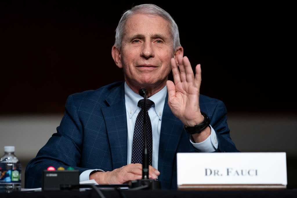 Anthony Fauci, White House chief medical adviser and director of the NIAID, during a Senate Health, Education, Labour and Pensions Committee hearing on 11 January 2022 (POOL/AFP via Getty Images)