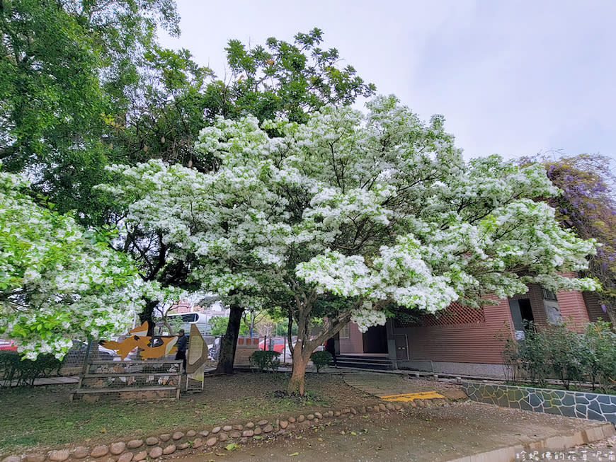 桃園｜大湖紀念公園