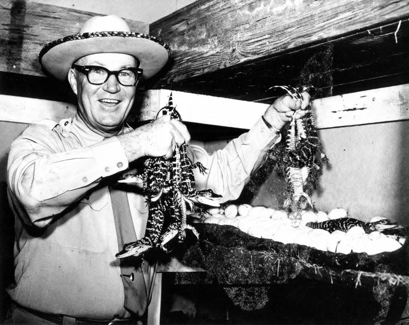 Owen Godwin, the founder of Gatorland, holding baby alligators as he poses for a photo.