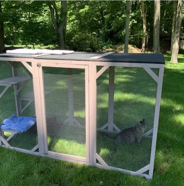 Reviewer's photo of the catio in use on a lawn in the color Gray