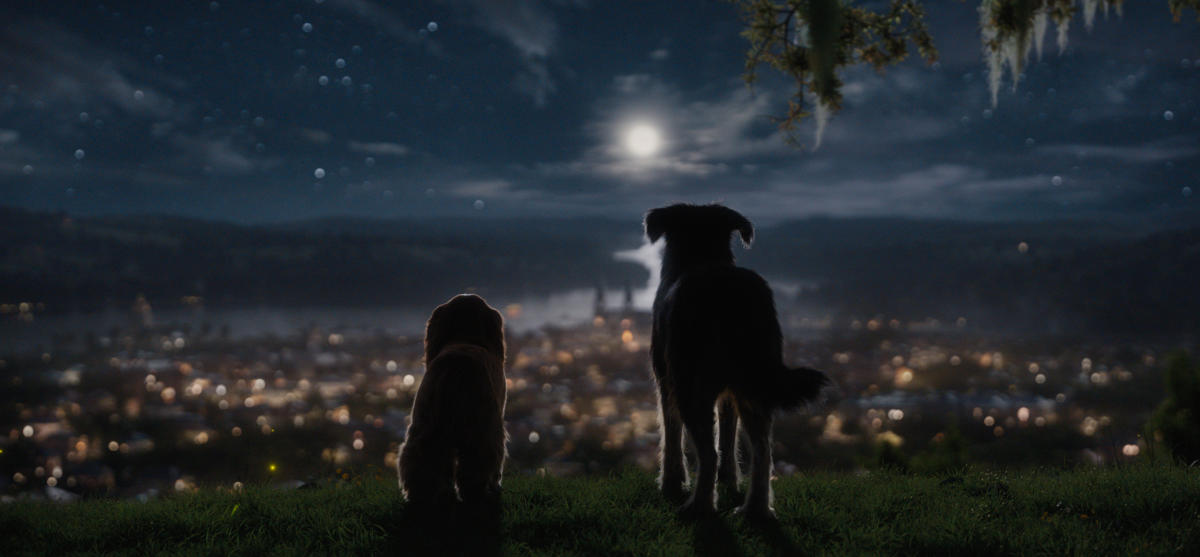 BRPROUD  Live-action Lady and the Tramp canine cast revealed