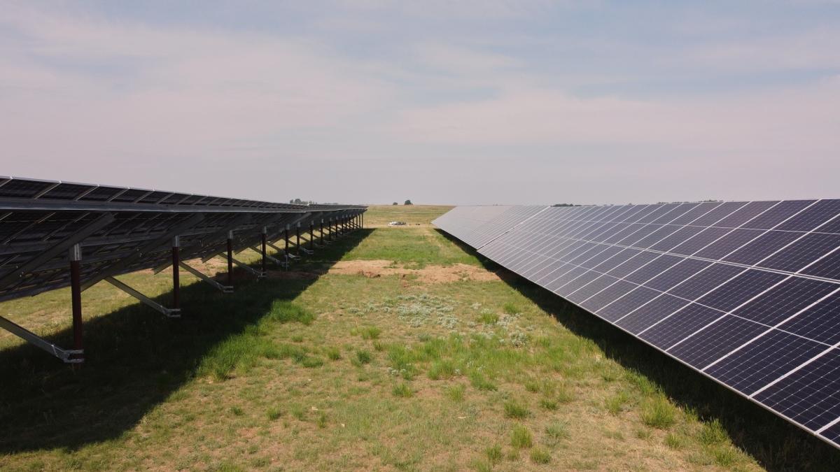 Solar farms feel the heat from ministers but industry hopes it can still  sparkle, Solar power