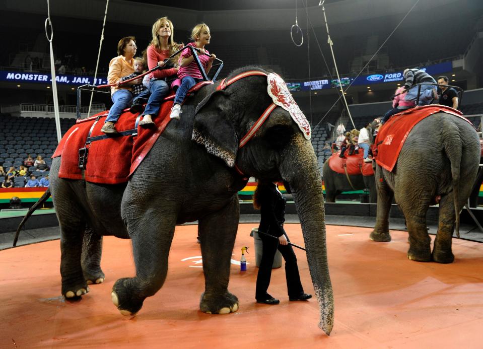 Families take rides on the elephants on the stage floor before the Hadi Shrine Circus in 2012. Shrine officials announced this week they are "retiring" elephants from the annual show.