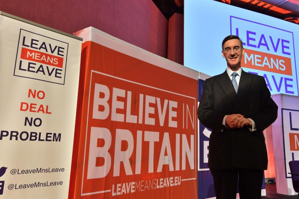 Jacob Rees-Mogg was a key figure in the Leave campaign (John Stilwell/PA) (PA Archive)