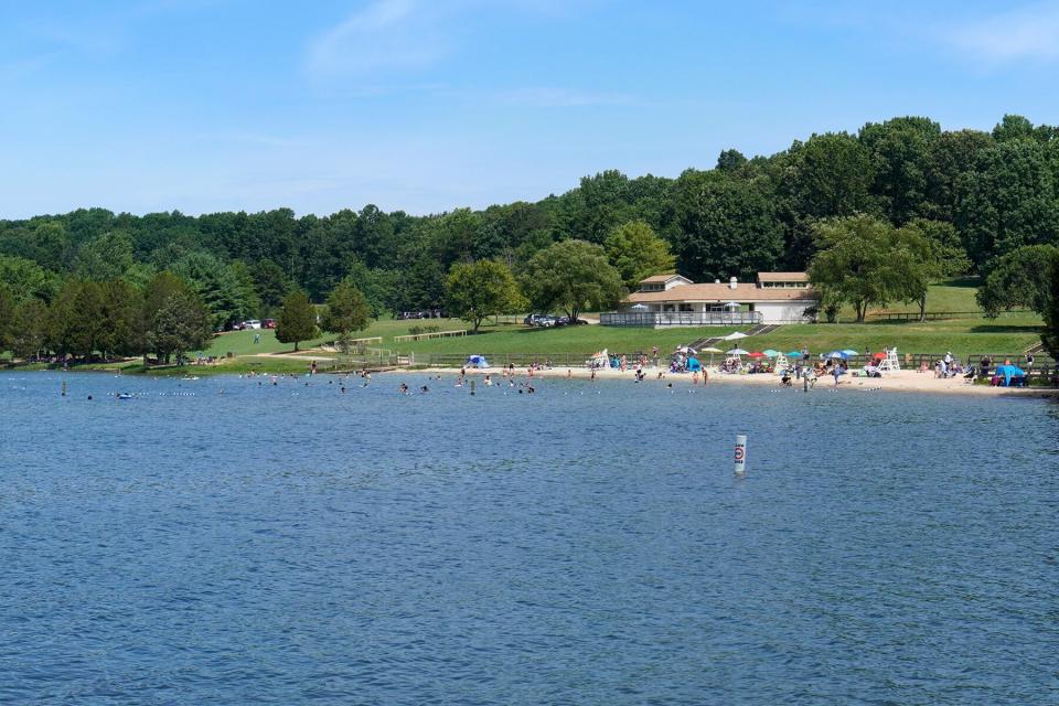 Virginia state park panorama. Lake Anna