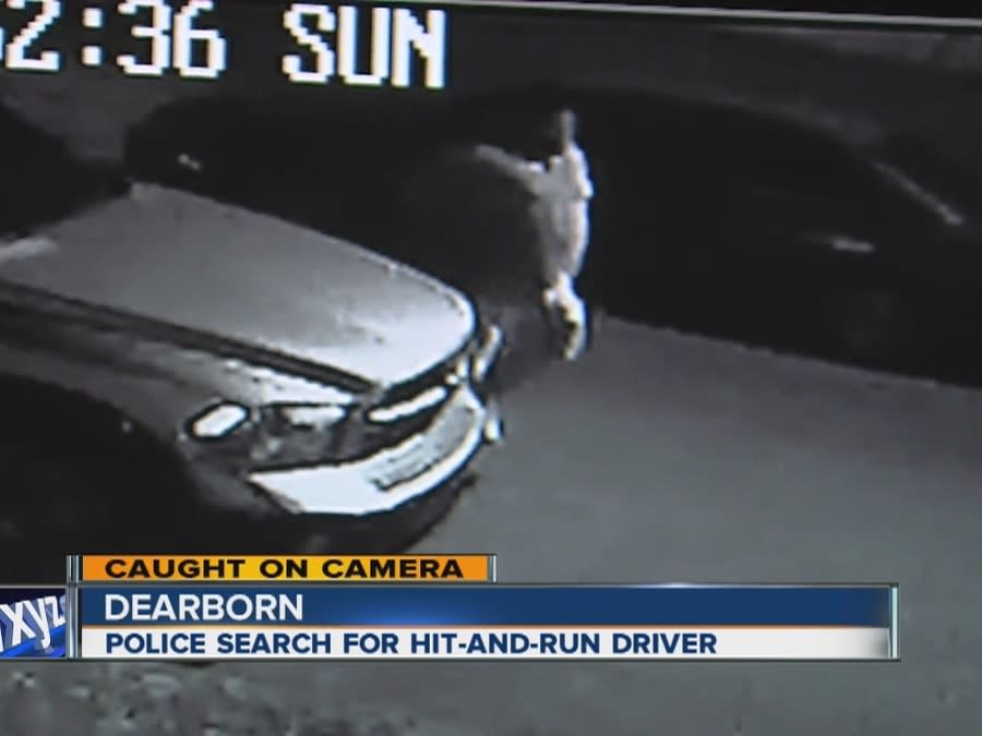 Police Search for Hit and Run Driver