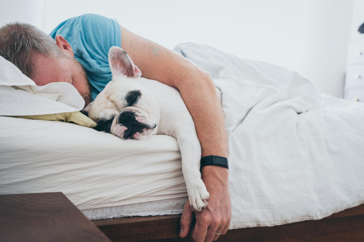 Man sleeping on bed at Home with his French Bulldog.