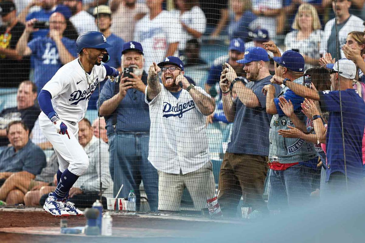 Diehard Dodgers fans captured by professional photographer - ABC7