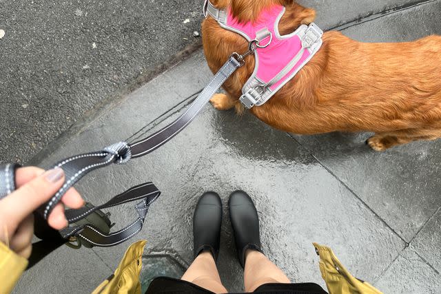 <p>People / Madison Yauger</p> Shopping editor Madison Yauger tests the Quince rain boots while walking her dog Stevie.