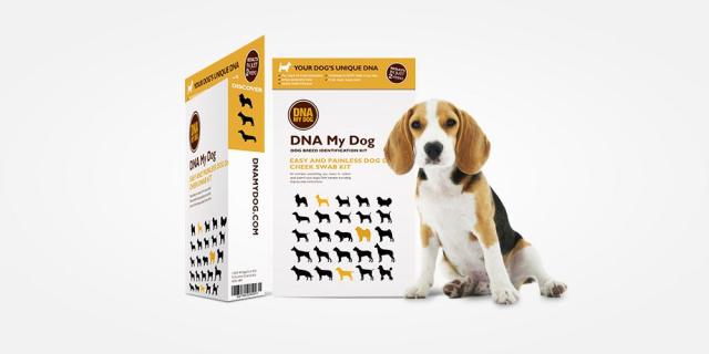 Dog clearance dna ancestry