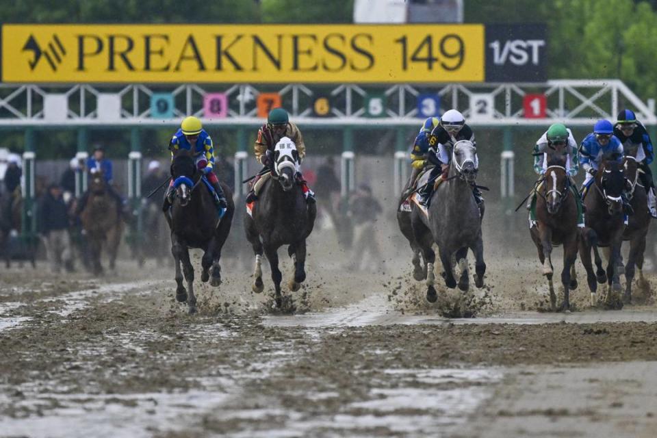 Seize the Grey (6) leads the pack out of the starting gate on his way to a wire-to-wire victory in Saturday’s 149th Preakness Stakes.