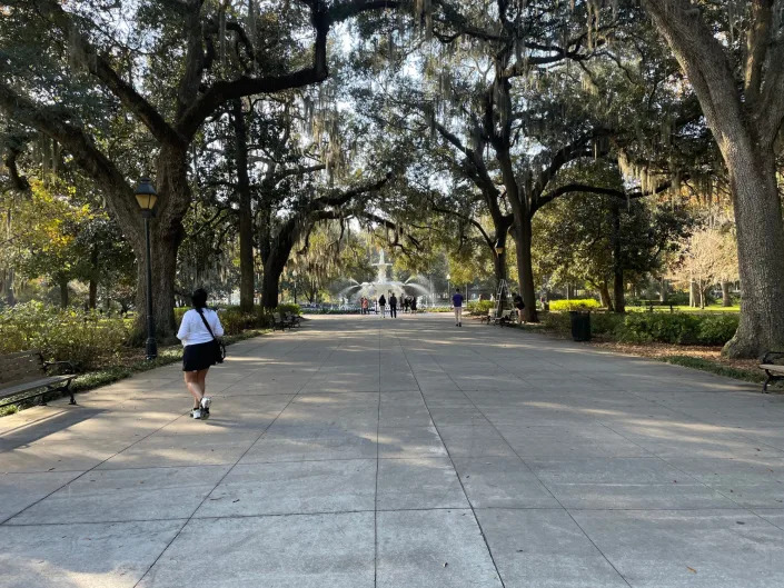 Savannah walking