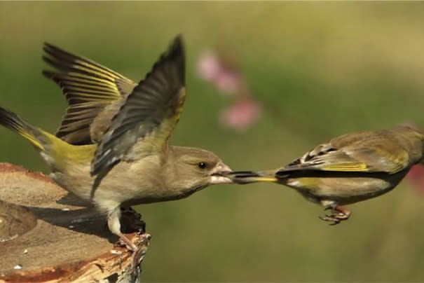 Hop hop hop, tu vas où comme ça ?