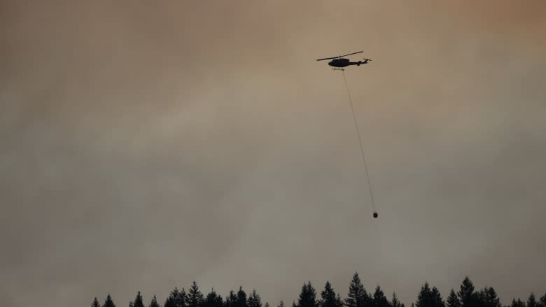 Crews fight forest fire near Horseshoe Bay