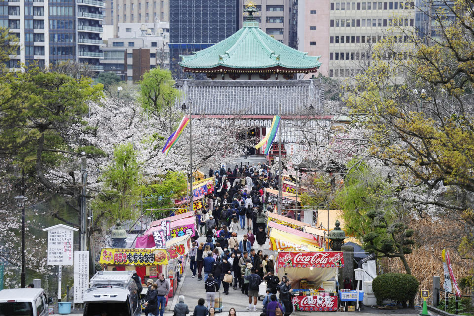 Visitantes pasean entre los cerezos en flor, en el Parque Ueno, el 5 de abril de 2024, en Tokio. Multitudes se reunieron en Tokio para disfrutar de los famosos cerezos en flor de Japón, que en la capital están floreciendo más tarde de lo esperado debido al frío. (AP Foto/Eugene Hoshiko)