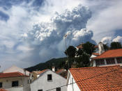 <p>Smoke from a forest fire is seen from the village of Dornes, in central Portugal, June 18, 2017. (Axel Bugge/Reuters) </p>