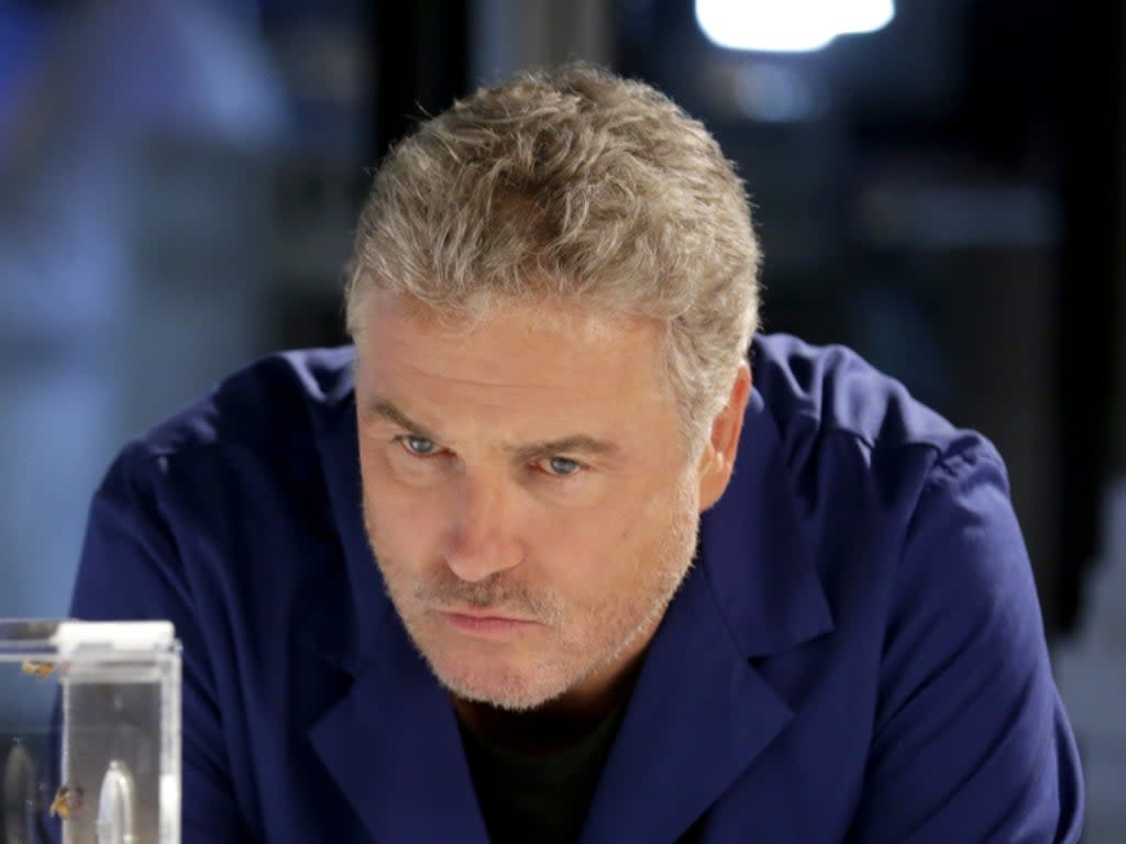 William Petersen in ‘CSI: Crime Scene Investigation' (CBS)