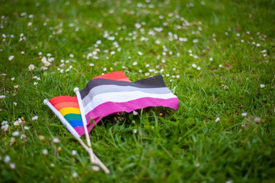 See the rainbow LGBTQ pride flag (left) and the asexual pride flag (right).