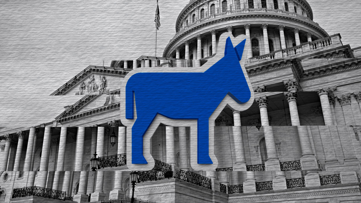  A donkey, the unofficial symbol of the Democratic Party. 