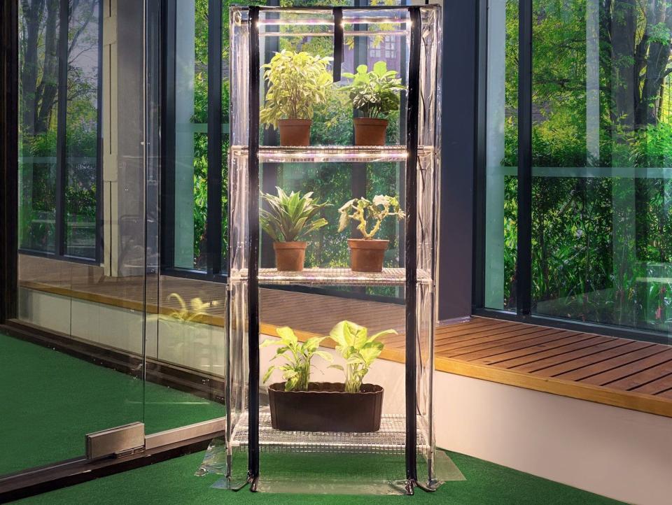 7) Mini-Greenhouse with Grow Lights