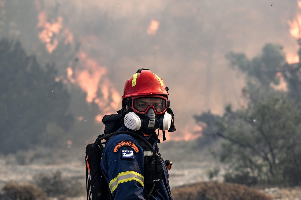 A firefighter looks on during a fire near the village of Vati, just north of the coastal town of Gennadi, in the southern part of Rhodes, Greece (AFP/Getty)