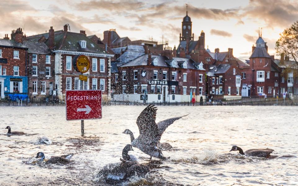 York is set to face bad floods as the snow melts - Andrew McCaren/LNP