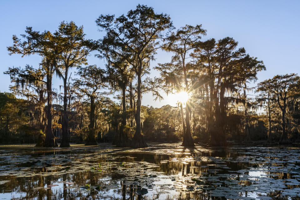 "Foragers once flocked to this big beautiful bayou to hunt for pearls."