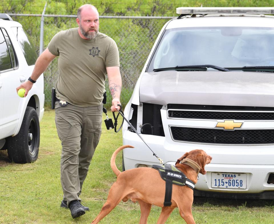 Sheriff's Sgt. Tim Putney and K9 officer Tobi perform a drug sniff test on a vehicle during a demonstration at the Wichita County Law Enforcement Center in Wichita Falls on Wednesday. Officer Toby can sniff out articles as small as a hidden electronic SIM card. The Wichita County Sheriff's Office will host the 2024 National Detector Trials in June.