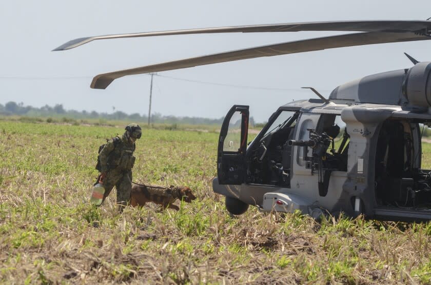 Un infante de la Marina de México y un perro entrenado abordan un helicóptero después de apoyar en el operativo donde fue capturado el narcotraficante Rafael Caro Quintero, cerca de Los Mochis, estado de Sinaloa, México, el viernes 15 de julio de 2022. (Foto AP/Guillermo Juárez)