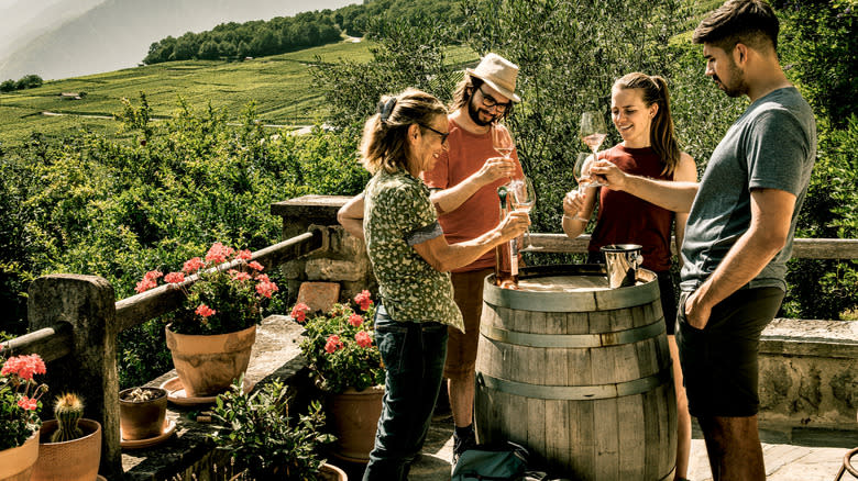 Casual people tasting wine in Swiss vineyard