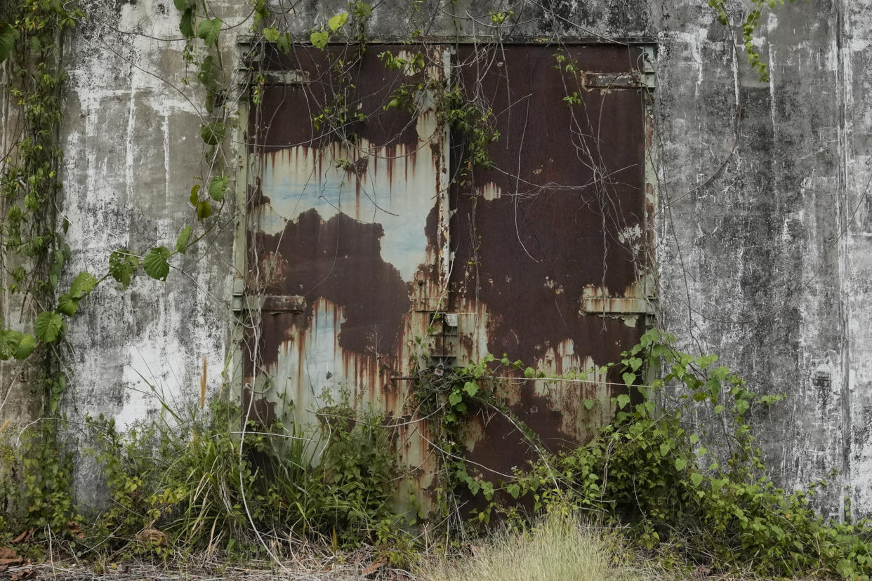 Plants grow outside the metal door of an abandoned weapons storage structure in what used to be America's largest overseas naval base at the Subic Bay Freeport Zone, Zambales province, northwest of Manila, Philippines on Monday Feb. 6, 2023. The U.S. has been rebuilding its military might in the Philippines after more than 30 years and reinforcing an arc of military alliances in Asia in a starkly different post-Cold War era when the perceived new regional threat is an increasingly belligerent China. (AP Photo/Aaron Favila)