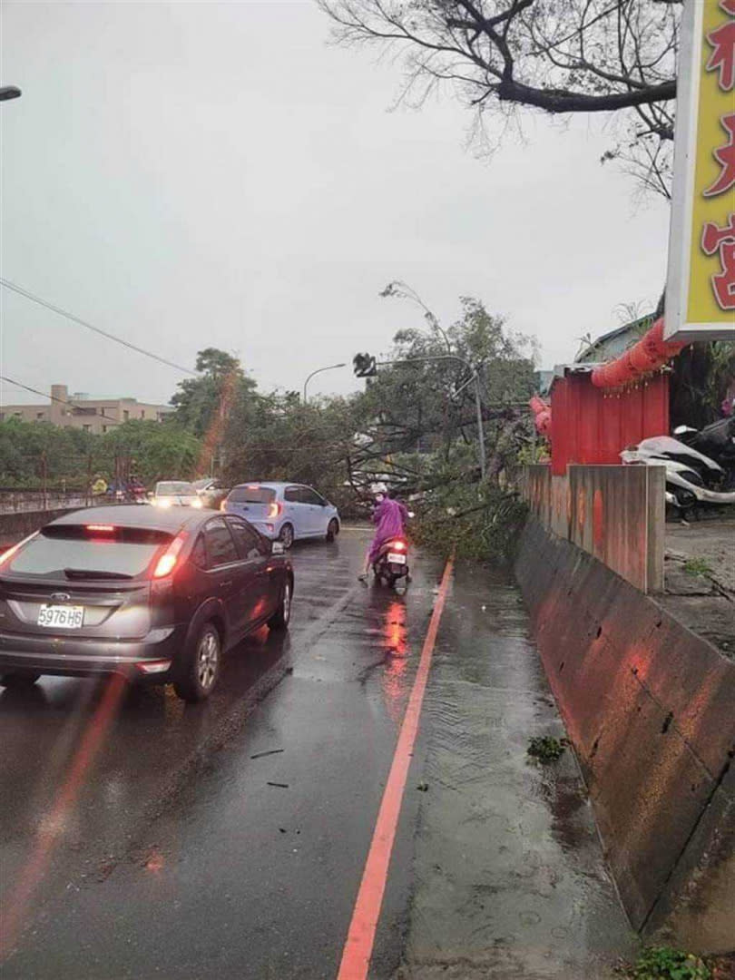 里區日新路往大智路一處彎處則有路樹被狂風攔腰折斷，橫躺道路中。（圖／市供議員江和樹提供）