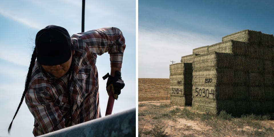 Kolton Begay digs out a stuck wheel of a pivot irrigator; bales of alfalfa, the farm's primary crop, sit ready to be picked. (Cate Dingley for NBC News)