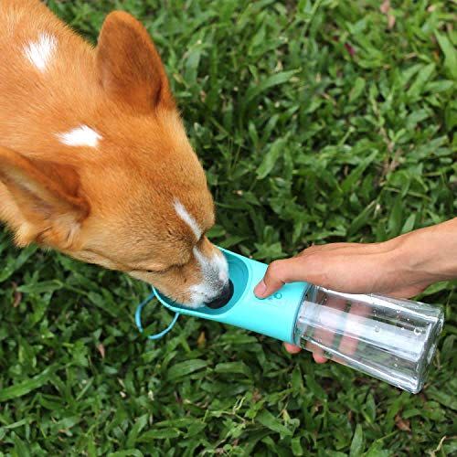 Dogs are girls best friends! Water Bottle by cafelab