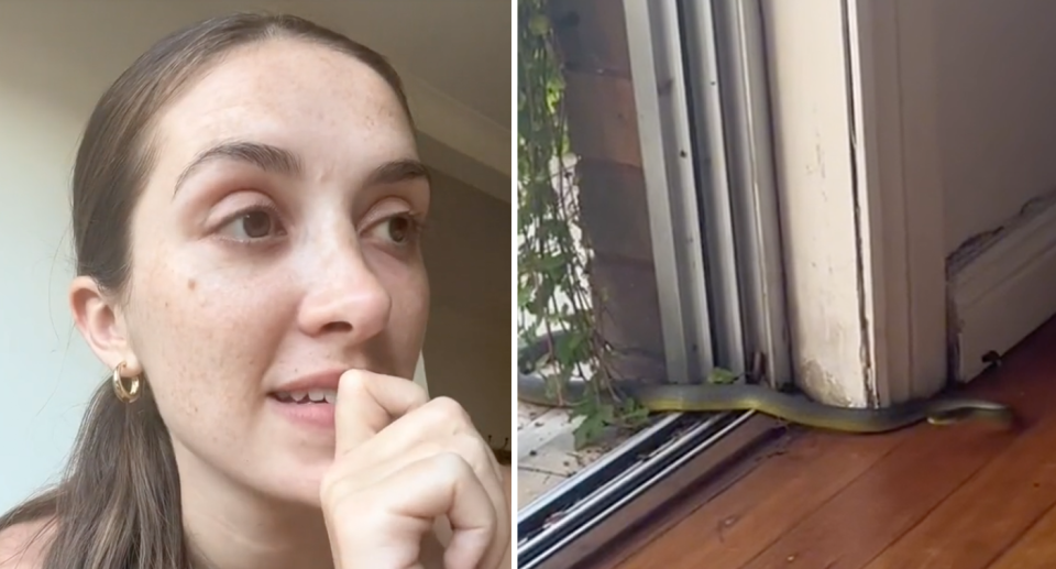 The expat holds her hand up to her face recalling her shock (left). The snake inside her home peeking out of the bushes beside the back door (right). 