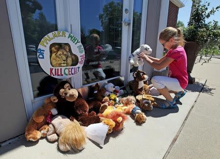 Resident Autumn Fuller, 10, places a stuffed animal at the doorway of River Bluff Dental clinic in protest against the killing of a famous lion in Zimbabwe, in Bloomington, Minnesota July 29, 2015. REUTERS/Eric Miller