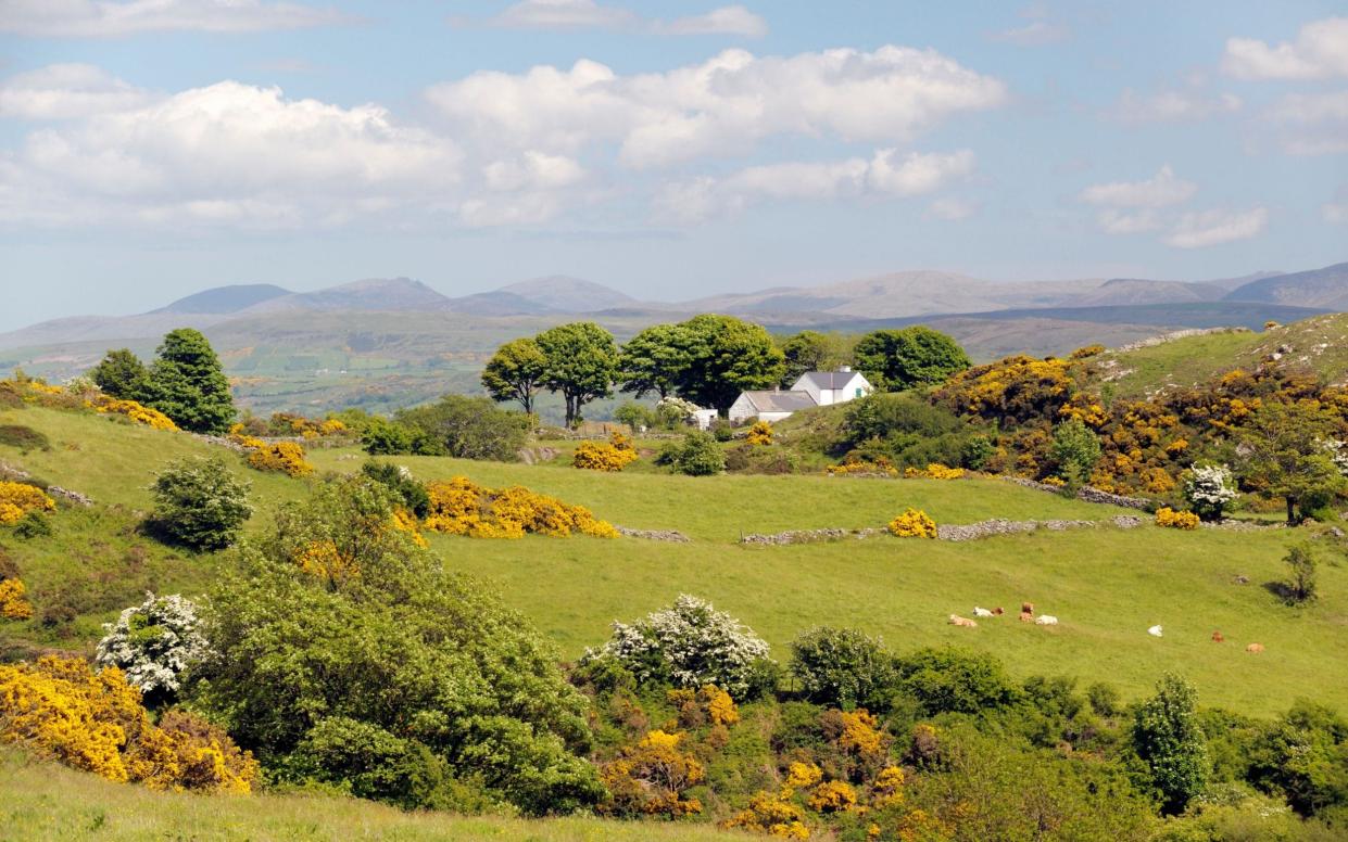 Farmland between Camlough Mountain and Newry, on the Ring of Gullion