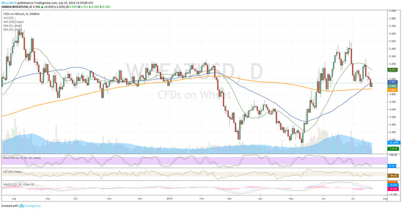 Daily chart Wheat July 19