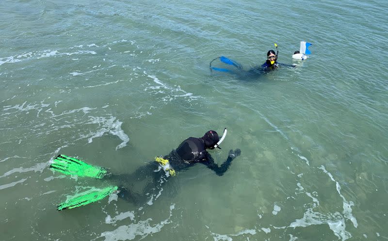 Divers from Deep History of Sea Country search for artefacts off Dampier Archipelago in Western Australia