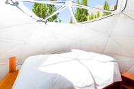 <p>Guests are housed in two-storey domes with detachable roofs that are perfectly designed to allow them to gaze into the heavens. <br> (Airbnb) </p>