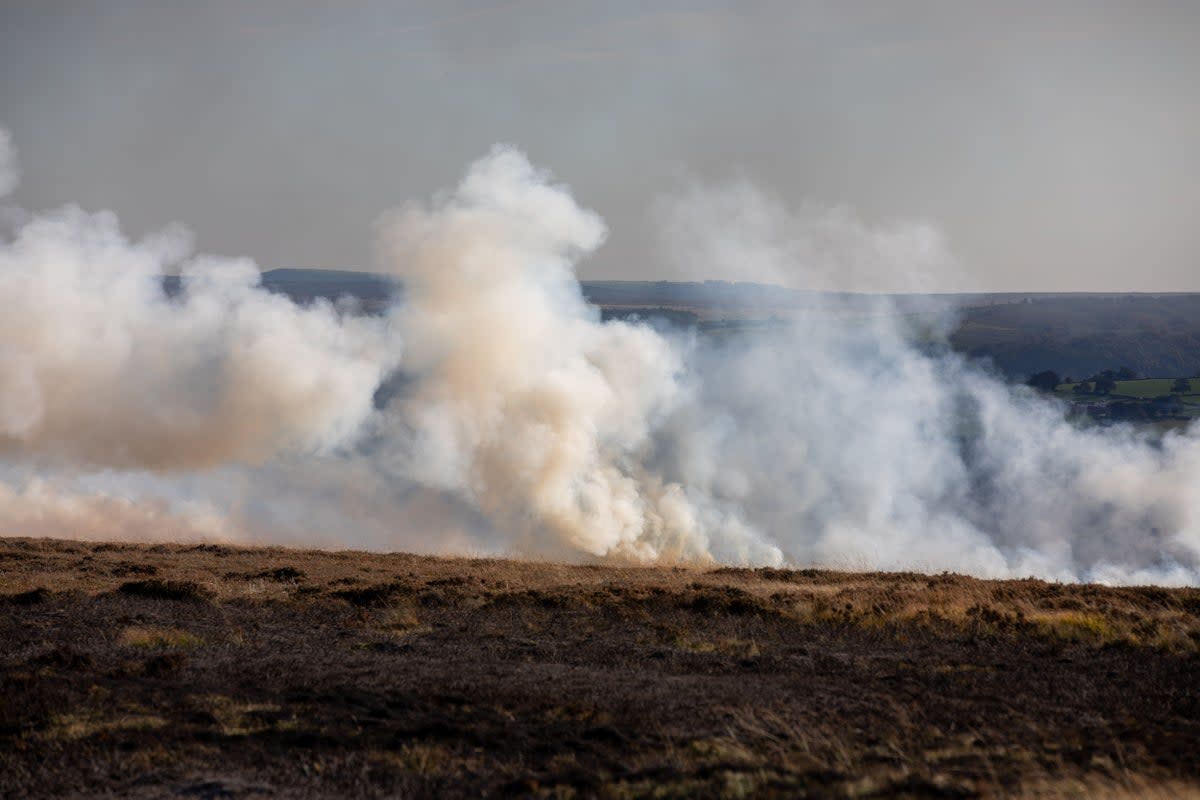 Heather is set alight on peatlands (Steve Morgan/Greenpeace/PA)