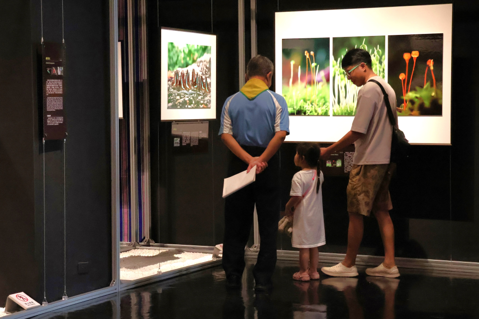 科博館推出《微塵競色≋第8屆科學攝影特展》，廣邀科學迷、攝影愛好者、社會大眾一覽鏡頭下的生態奇觀和自然美景。圖片提供／國立自然科學博物館。