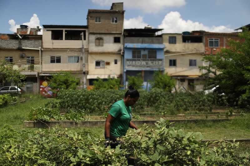 A woman works at the Horta de Manguinhos in the Manguinhos favela in Rio de Janeiro