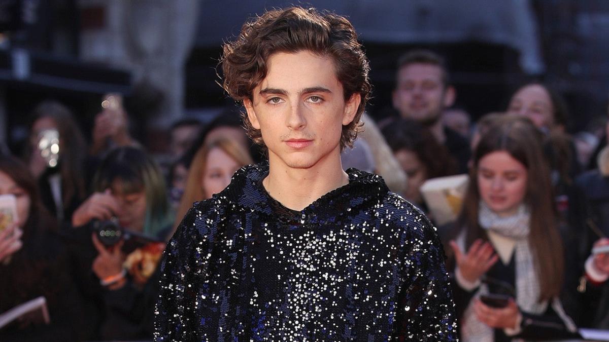 Timothee Chalamet Found a Sequined Hoodie - Go Fug Yourself