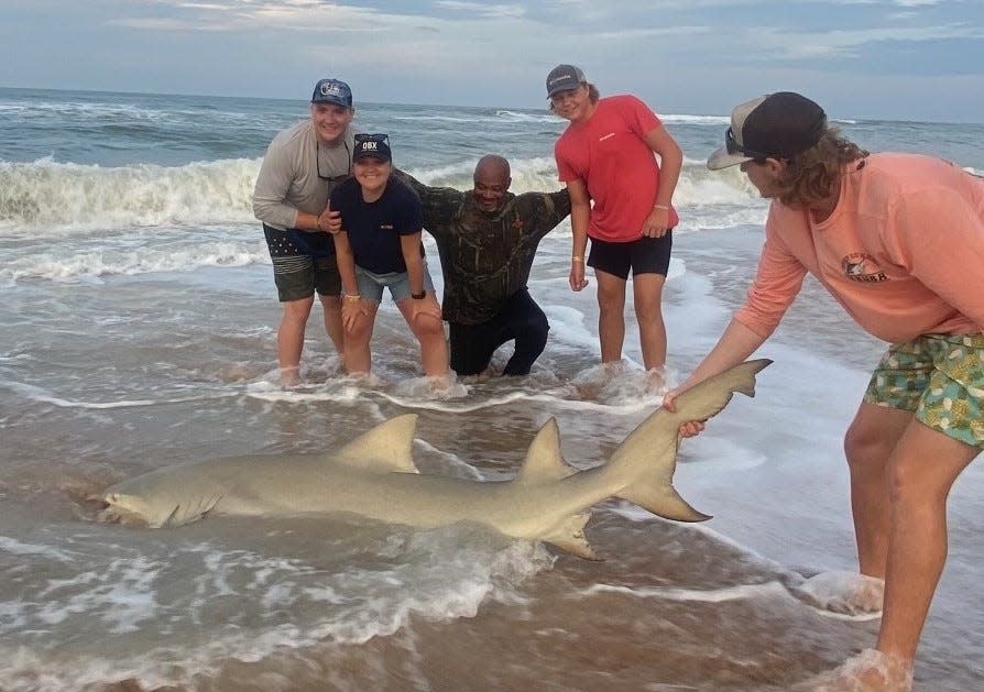 Here's Cole, a visitor from Illinois, with a lemon shark measuring 7½ feet. He caught it with the help of NSB Shark Hunters.