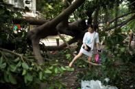<p>A woman walks through fallen trees on a street, after Typhoon Mangkhut hit Guangzhou, Guangdong province, China on Sept. 17, 2018.<br>(Photo by Reuters) </p>