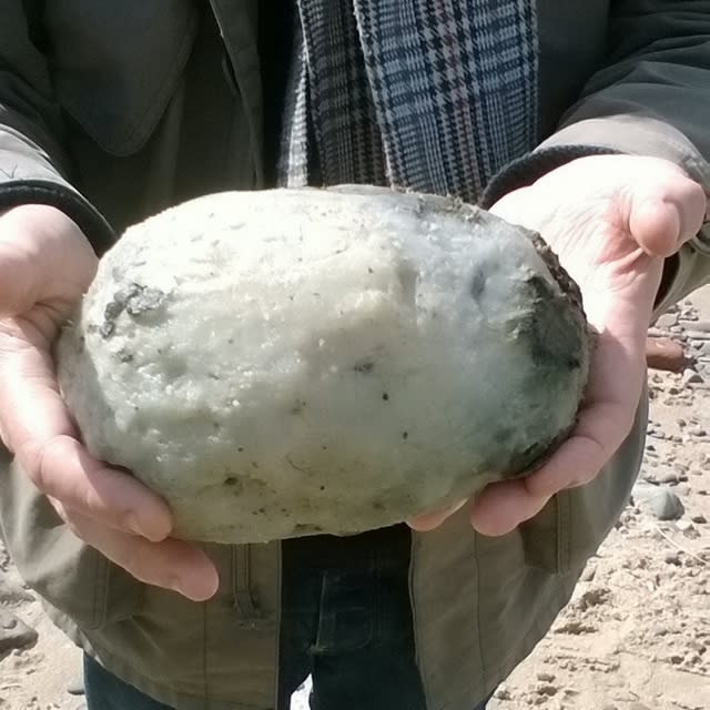 Couple find whale vomit 'worth £50k' on Lancashire beach