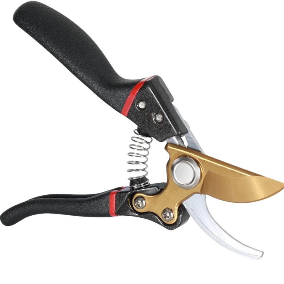 Garden Shears